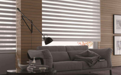 Factors you must consider before buying Zebra Blinds